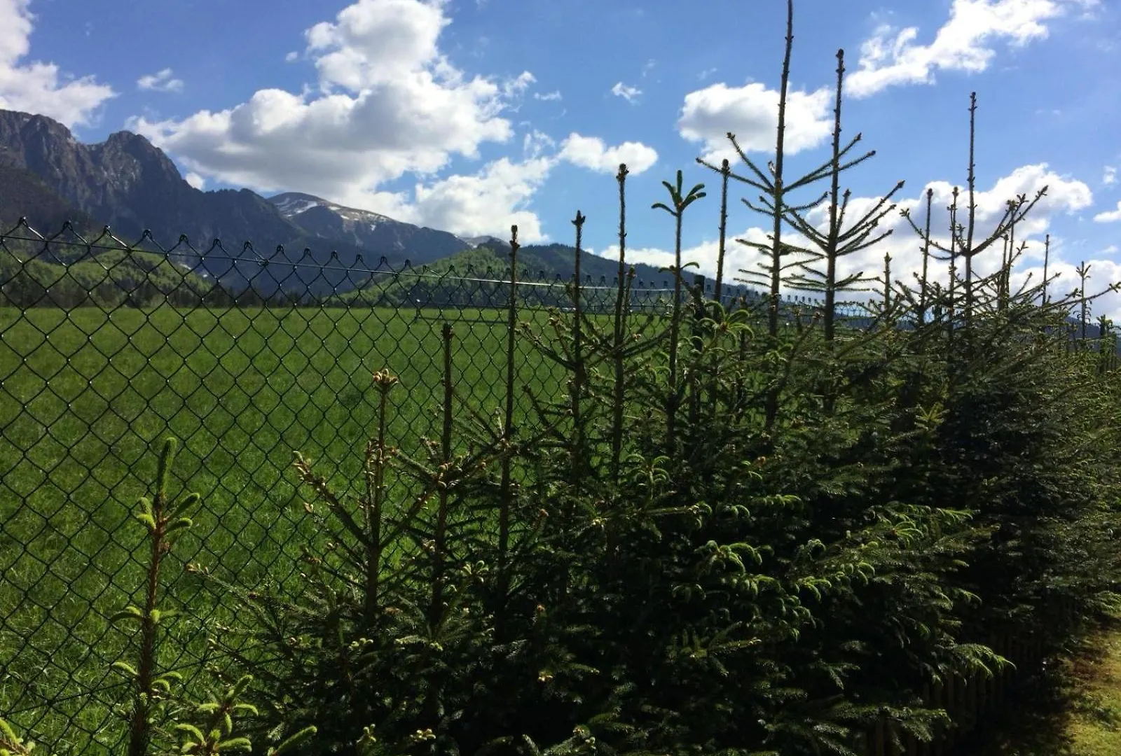 Apartament Apartament Z Widokiem Na Giewont I Kasprowy Zakopane